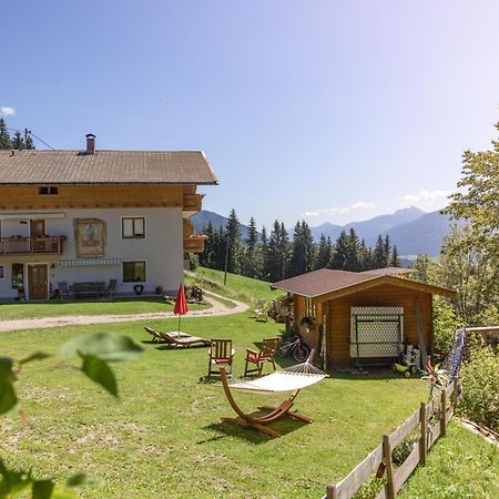 Appartement Bio-Bergbauernhof Weger à Dellach  Extérieur photo
